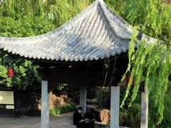 -运河游船(武林门码头)