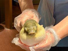 -肆月河豚·淮扬菜·湘菜(华天店)