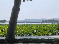 -杭州新新饭店·1913餐厅