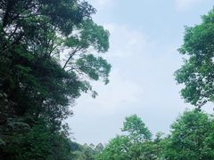 -广州市帽峰山景区