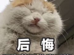 -老胡烧烤(崂山店)