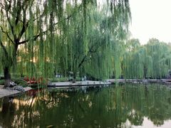 -玲珑塔公园
