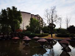 -上海崇明金茂凯悦酒店