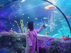 -沈阳海洋探索中心