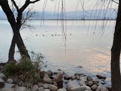 -西昌邛海湿地