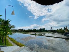 -Bebek Joni Restaurant