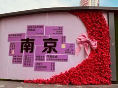 -南京时尚莱迪购物广场(正洪街店)