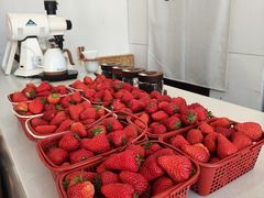 -CENTTY辛蒂咖啡·烘焙·西点(D15生活美学馆店)