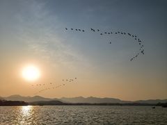 -西湖游船