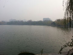 android_upload_pic-紫竹院公园冰场