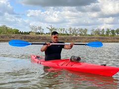 -春花秋色城市公园