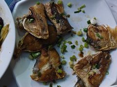 -阳江餐厅·30年老字号·粤菜海鲜大排档