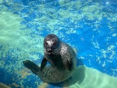 -太平洋海底世界