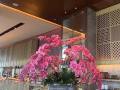 -嘉定凯悦·咖啡厅