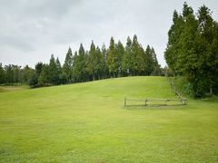 -成都保利公园皇冠假日酒店(熊猫基地店)