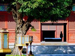 -北京古代建筑博物馆