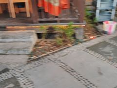 -二荆条·蜀鲜汇城市森林火锅