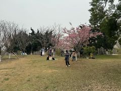 -堤角公园