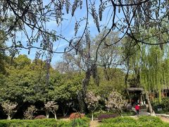 -白马涧龙池景区
