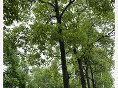 -千龙湖生态旅游度假区