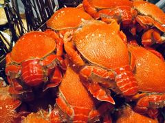 -安蒂娅·海鲜自助餐厅(安蒂娅美兰酒店)