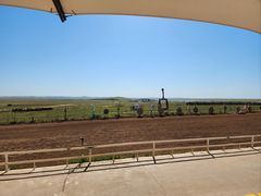 -呼伦贝尔大草原巴尔虎蒙古部落民俗旅游度假景区