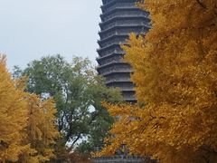 -玲珑塔公园