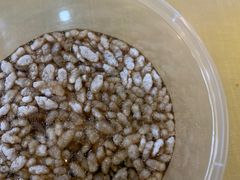 -红鼻子桂林米粉(金唐新光界店)