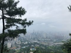 -壹华里·市集