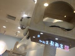 -猫冇咖·家门口的撸猫馆(大融城店)