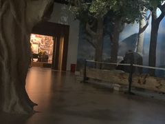 -中国闽台缘博物馆