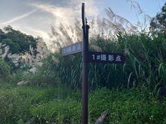 -花竹村