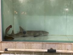 -海盗餐厅