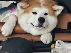 -中粮·祥云小镇