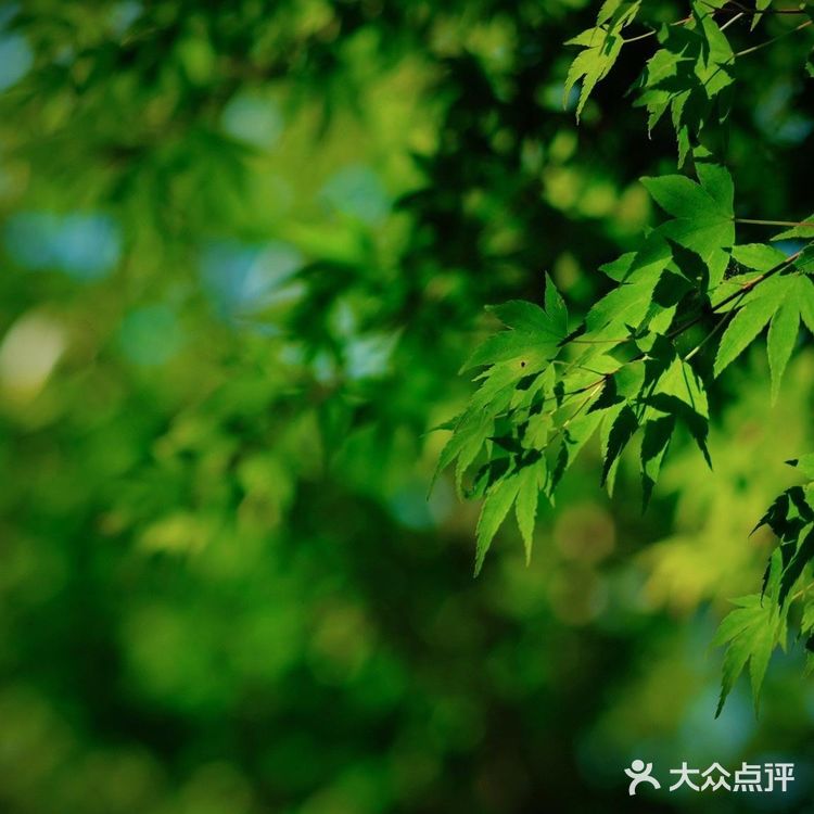 青黄二龙争斗不休 却丰饶了宜兴这地界儿