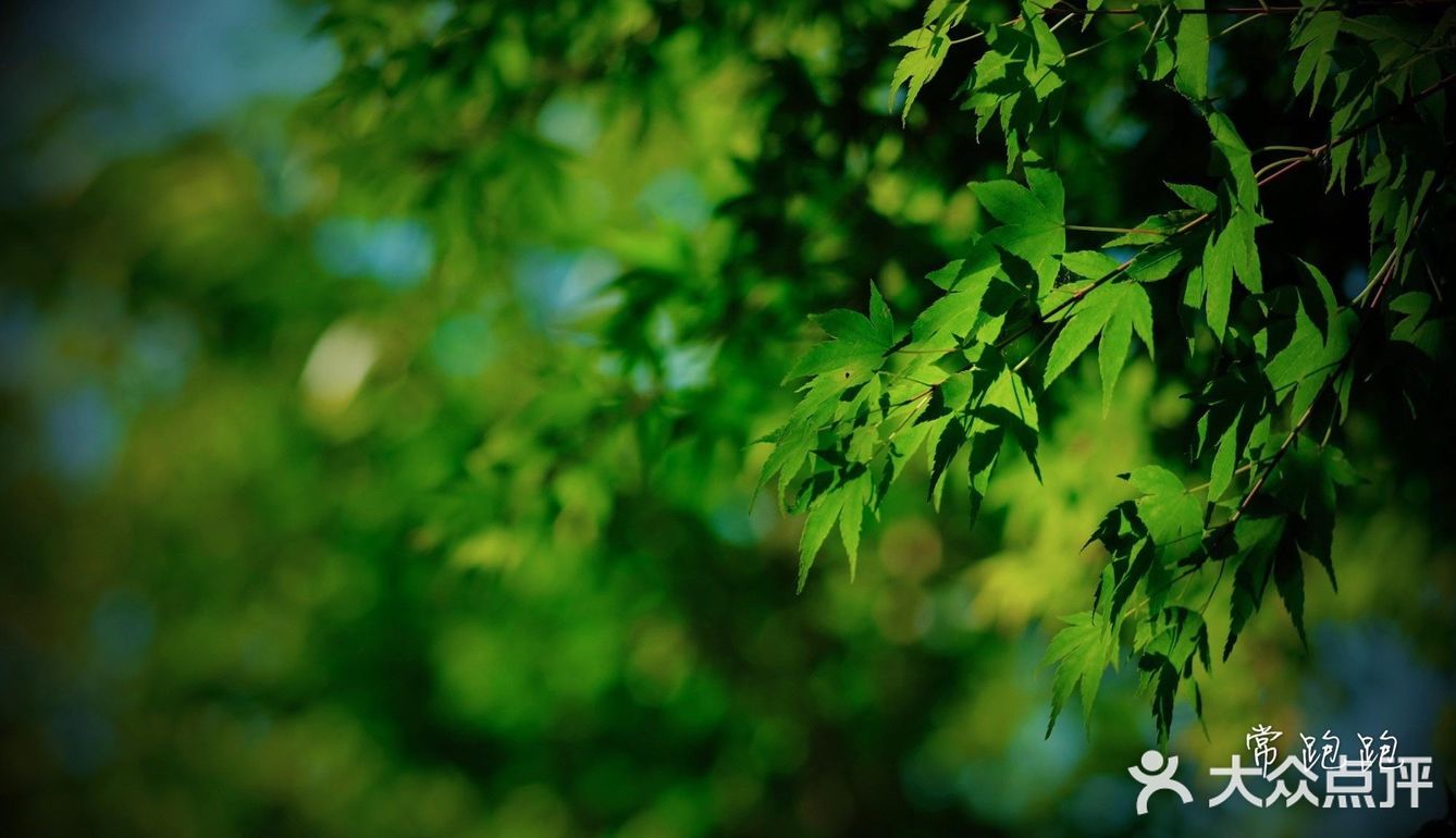 青黄二龙争斗不休 却丰饶了宜兴这地界儿