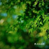 青黄二龙争斗不休 却丰饶了宜兴这地界儿