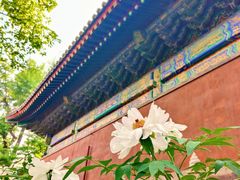 -红螺寺