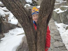 -终南山国家森林公园