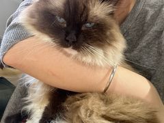 -听TA说宠咖·宠物生活馆(天韵水岸店)