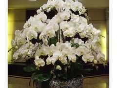 -乐圣量贩KTV自助餐(崇文店)