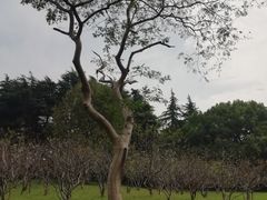 -共青国家森林公园-售票处