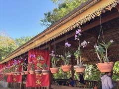 -西双版纳傣族园