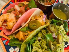 tacos-the rug 飞毯 (朝阳公园店)