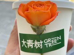 -大青树咖啡(大理古城店)