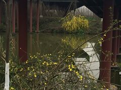 -白鹭湾湿地公园