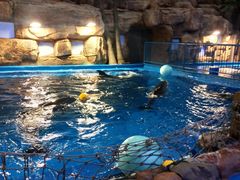 -华夏文旅海洋公园