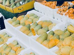 -城南综合水果批发市场(花园路店)