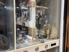 -PETKIT小佩宠物(古北店)