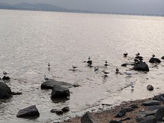 -深圳湾公园(南山区)